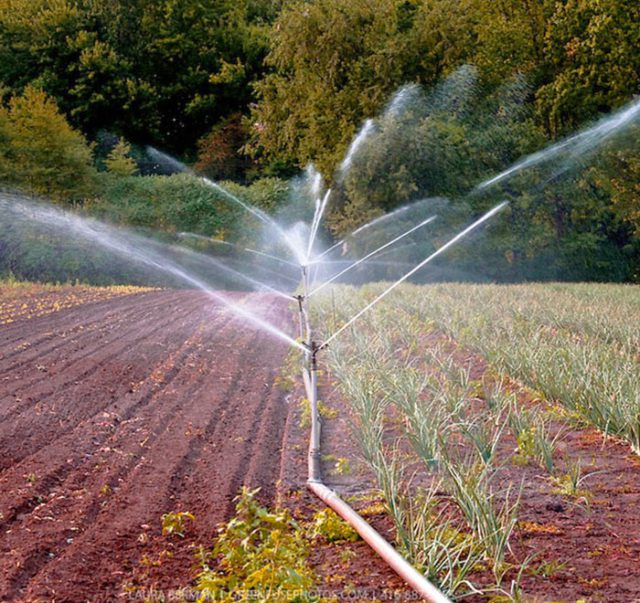 Sprinkler Irrigation System IS17425 Bharat Polymers